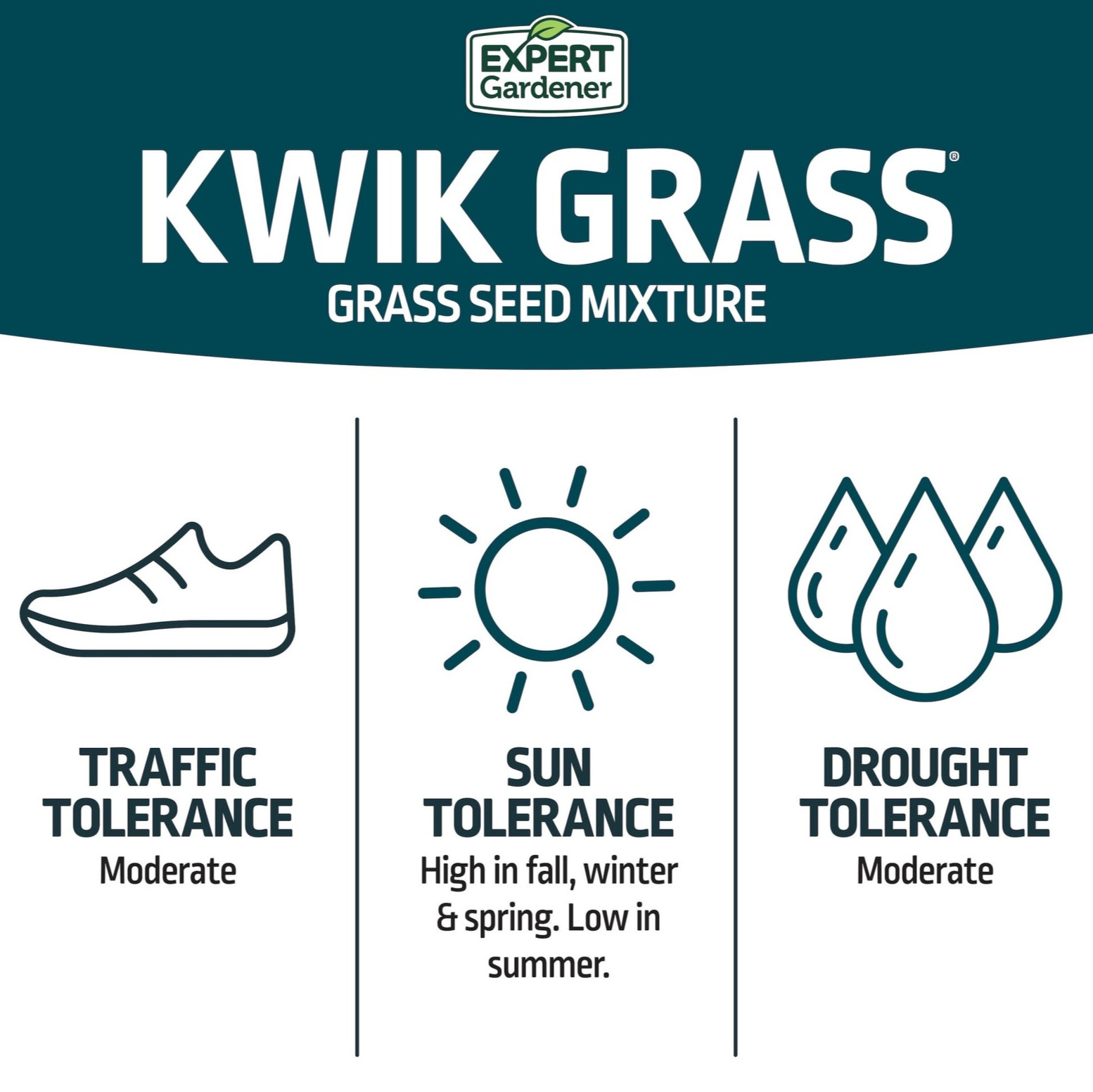 Expert Gardener Kwik Grass Seed Mix 3lb | Sun to Partial Shade Lawn Seed