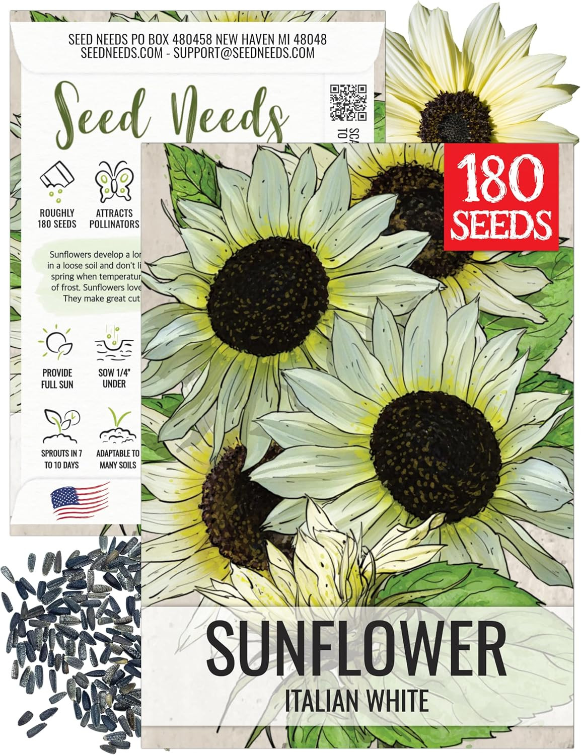 Seed Needs Sunflower Seeds for Planting Italian White Sunflowers – Heirloom & Op