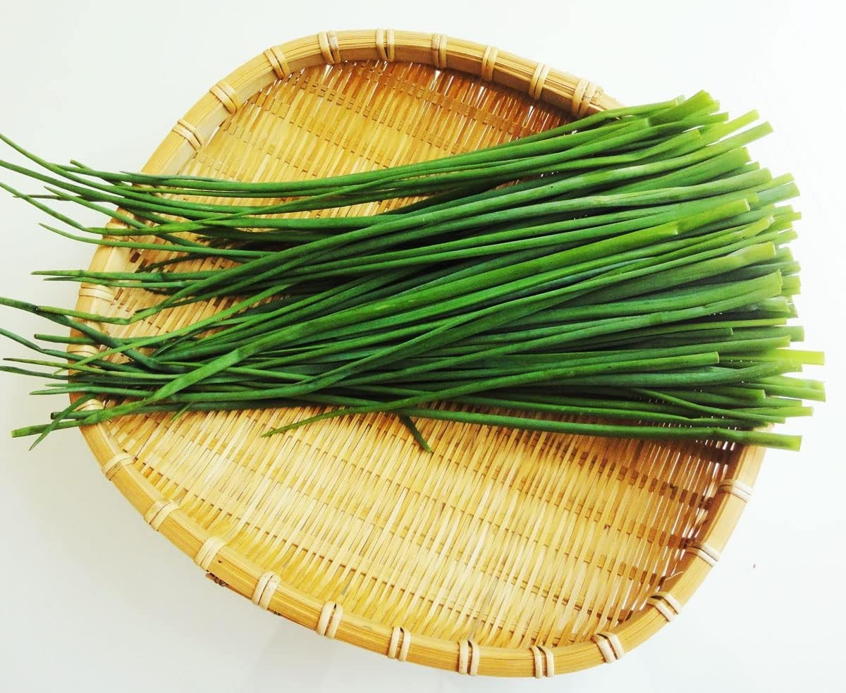 1000+ CHIVES SEEDS — GREEN ONION — PERENNIAL — MOSQUITO REPELLENT —- FRESH