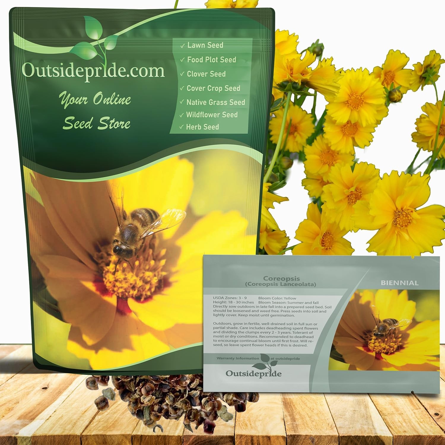 Lance-Leaved Coreopsis Seeds – 1 lb, Drought Tolerant Perennial Flower for Xeris