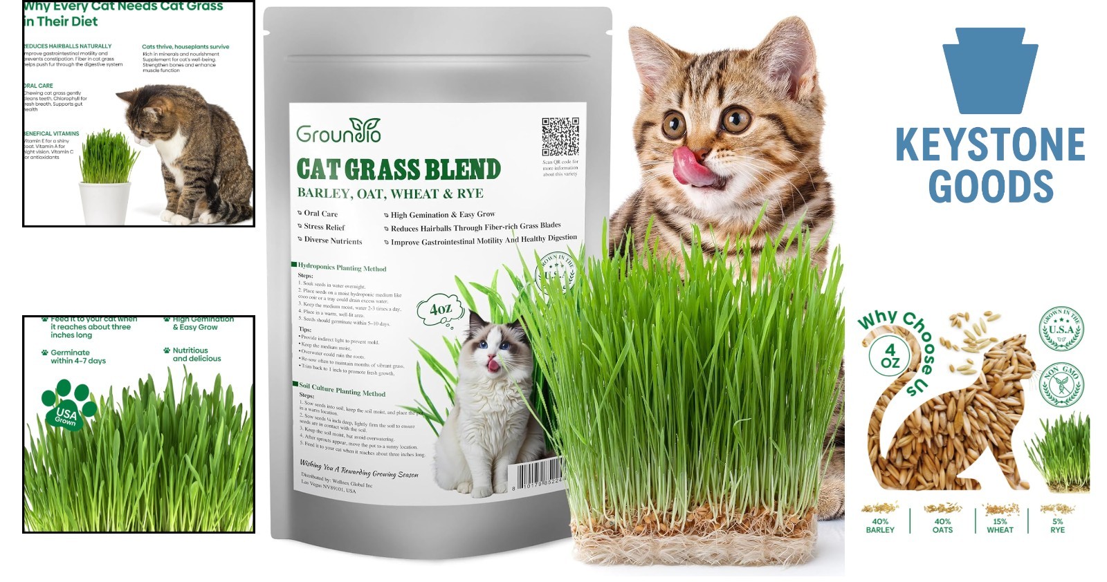 Cat Grass Seed Mix – Non-GMO, Fast Germinate, 4 Varieties, 4 oz