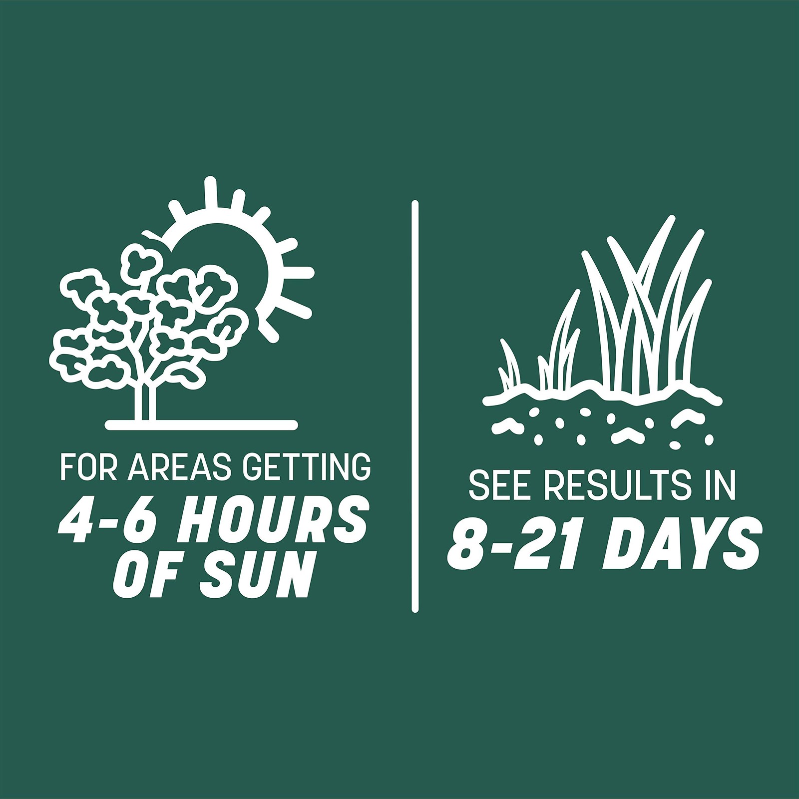 Pennington Smart Sun and Shade Tall Fescue Grass Mix for Southern Lawns 20 lb