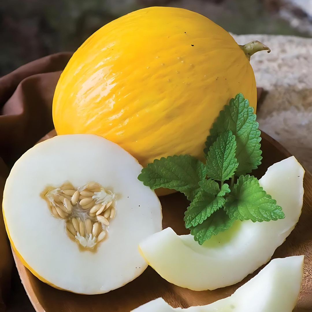 Fresh Juicy Canary Melon Seeds | Golden Yellow | Heirloom | Non-GMO | Fruit Seed