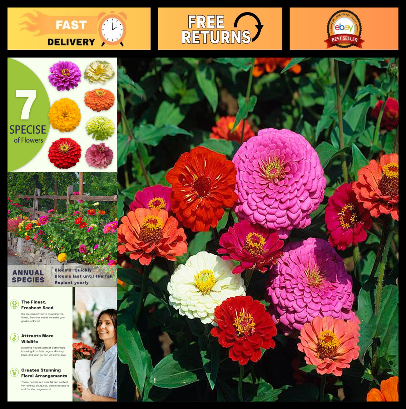 Bulk Zinnia Seeds 10,000+ | Colorful Outdoor Flowers for Gardens | High Germinat