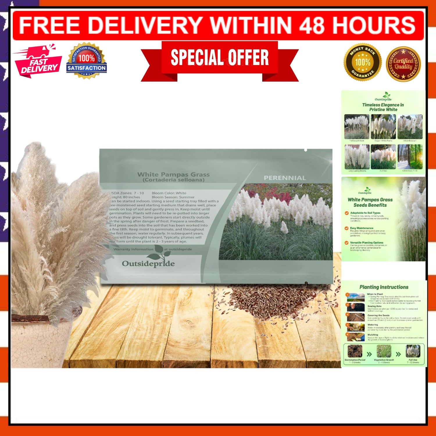 Perennial White Pampas Grass Seeds – 1,000 GMO Free for Privacy and Xeriscaping