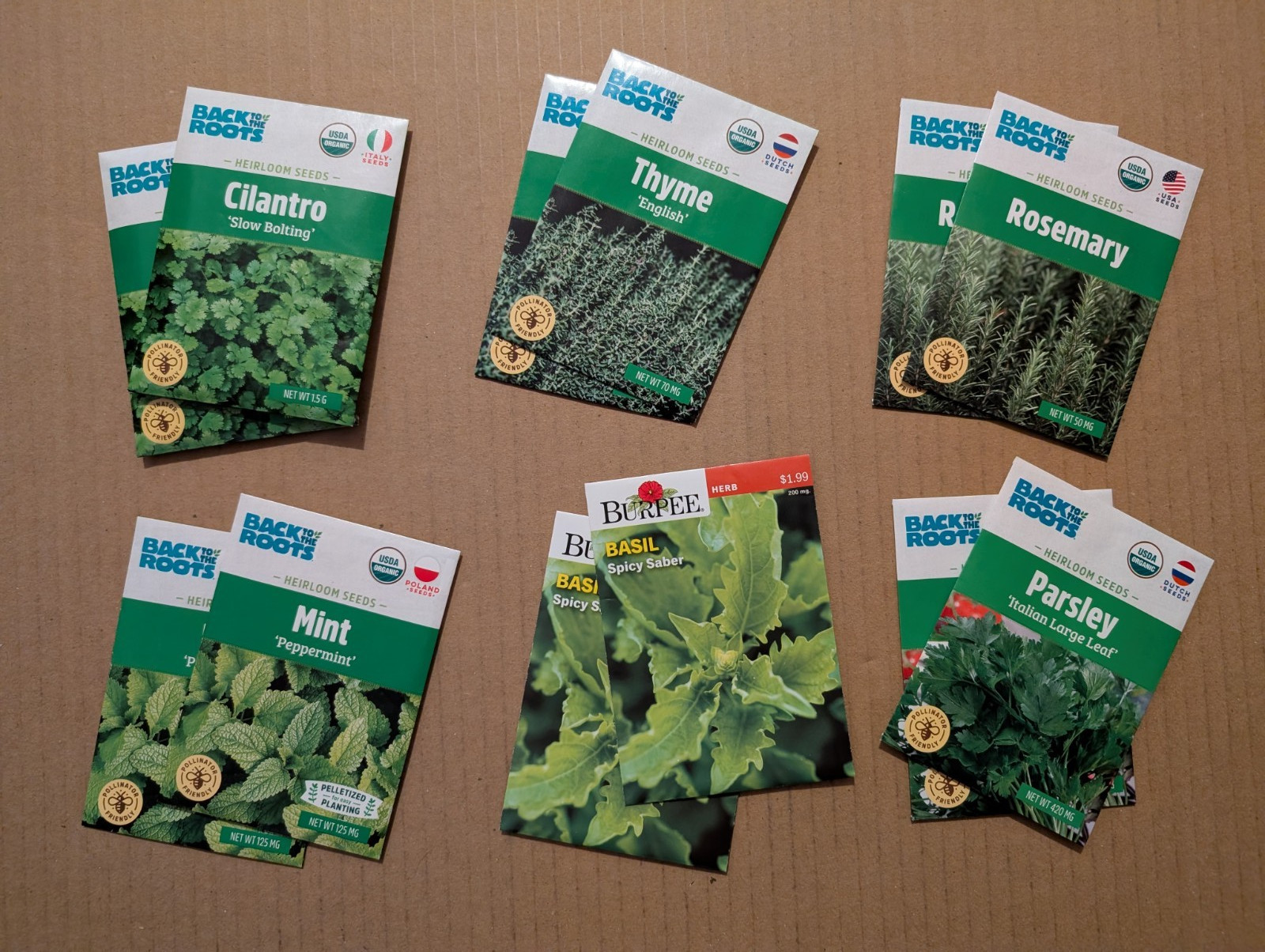 Lot of 12 SEEDS Packets HERB GARDEN (6 kinds) 2025 CILANTRO Thyme BASIL Parsley