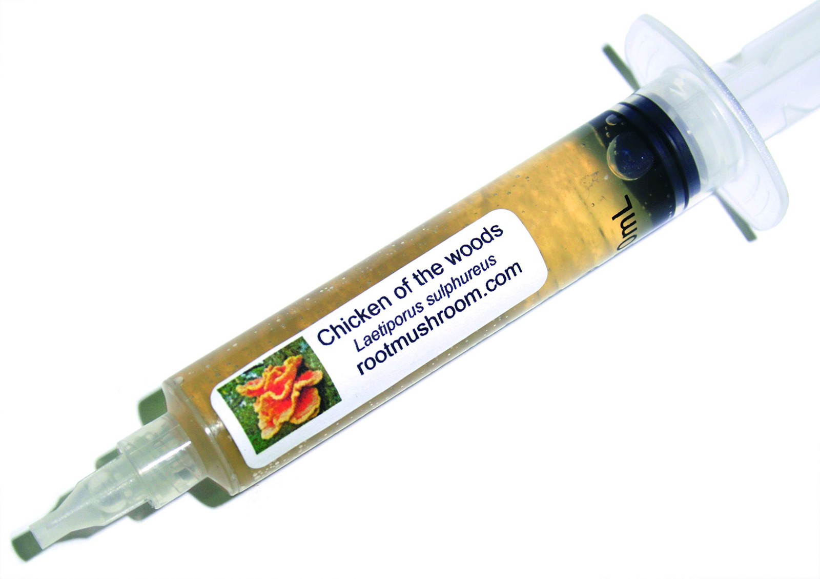 Mushroom Liquid Cultures – Chicken of the Woods (Laetiporus sulphureus)