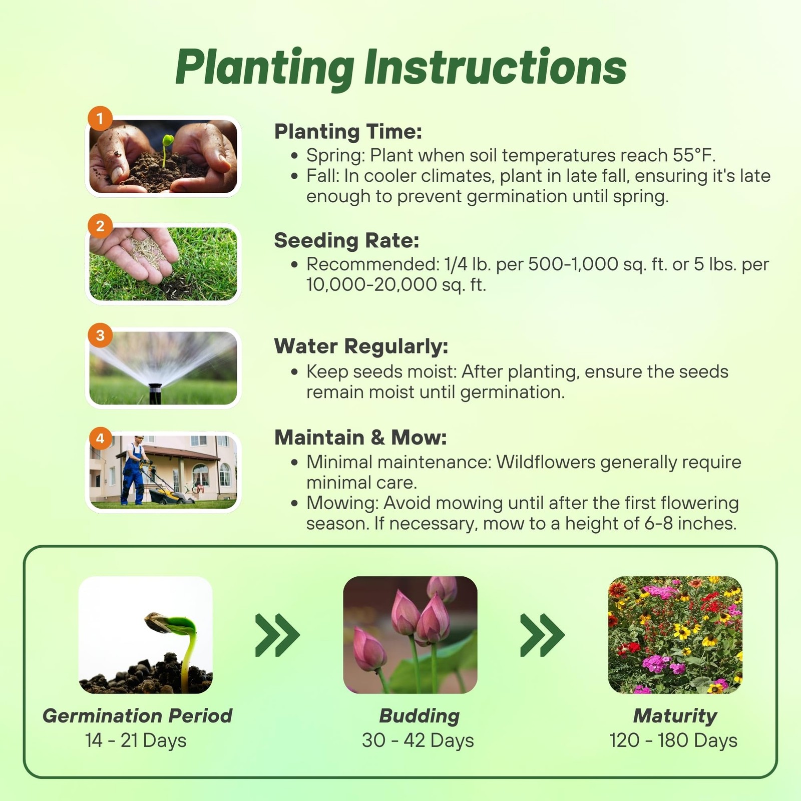Southeast Wildflower Seed Mix – 1 lb Highly Adaptable, Easy to Grow, Low-Main…