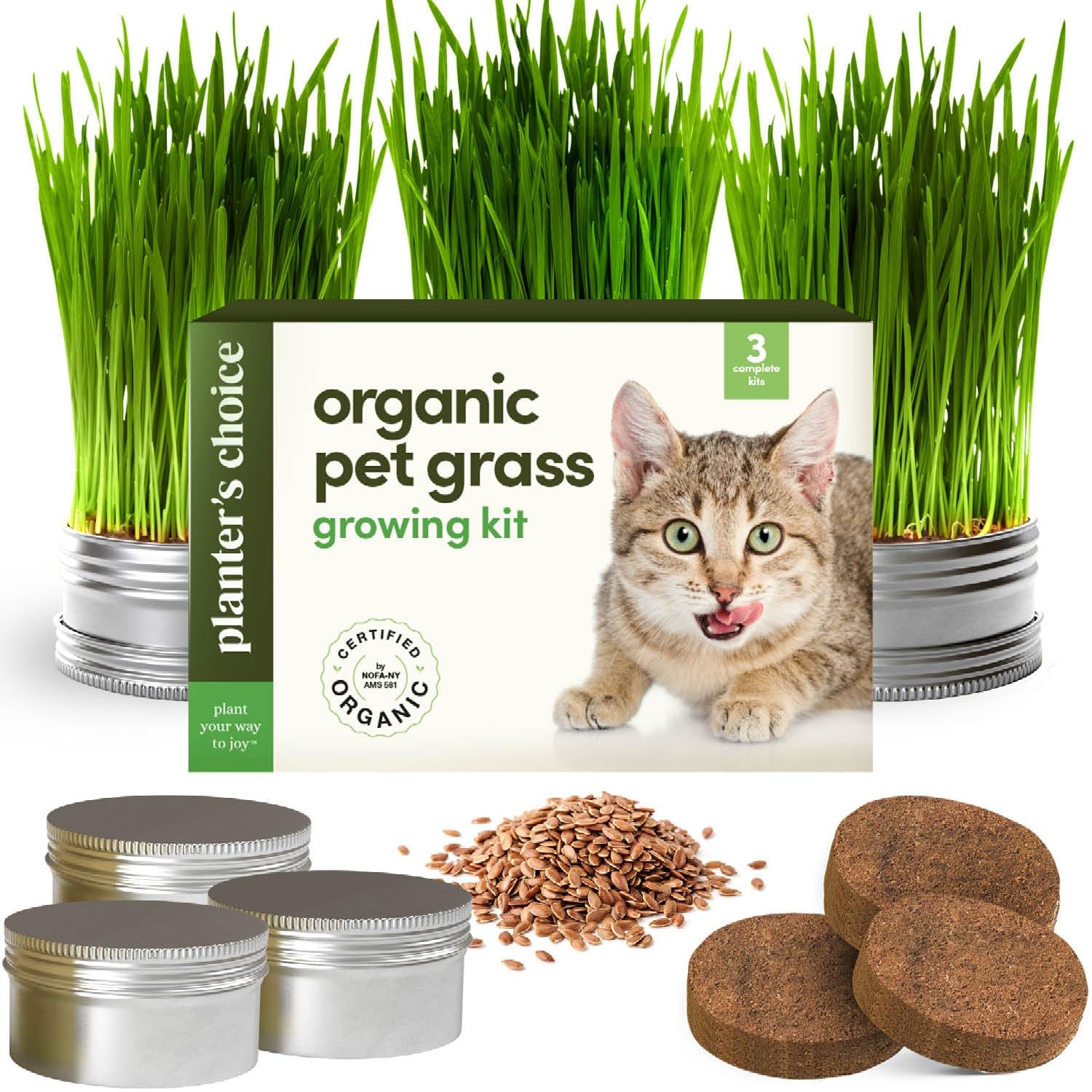 Cat Grass for Indoor Cats Kit – 3 Complete Growing Organic Planter Kits – Gro…