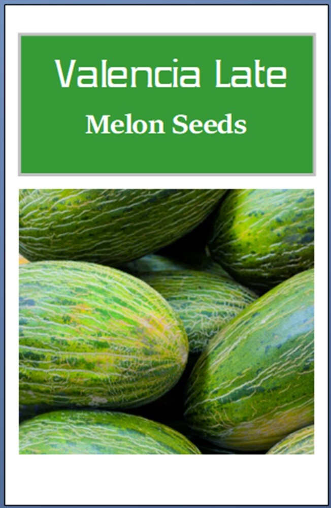 Valencia Late Melon Seeds | NON-GMO | Heirloom | Fresh Garden Seeds