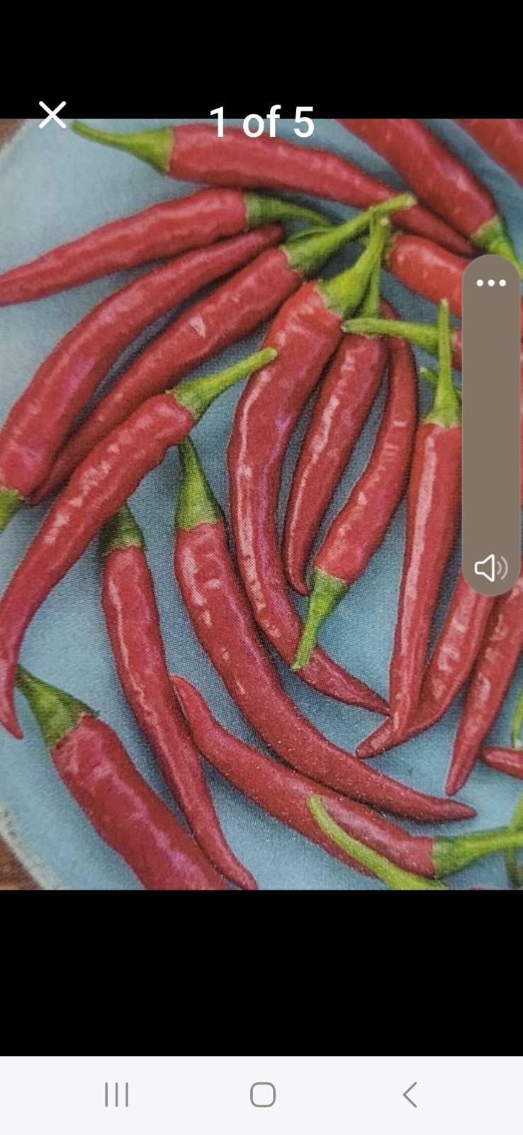Assorted Pepper Seeds 9 Different Varieties Include LEYSA -Fresh SAVE Gift