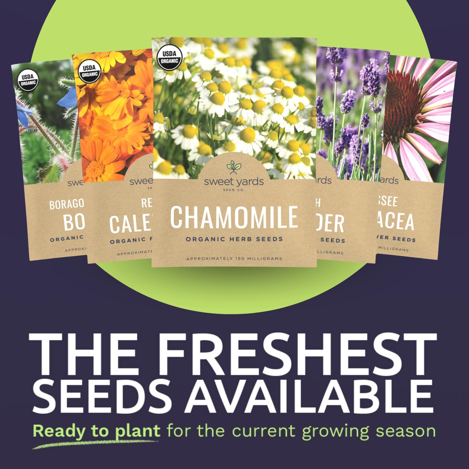Organic Edible Flower Seeds Variety Pack 9 Individual Packs 2026 Season La…