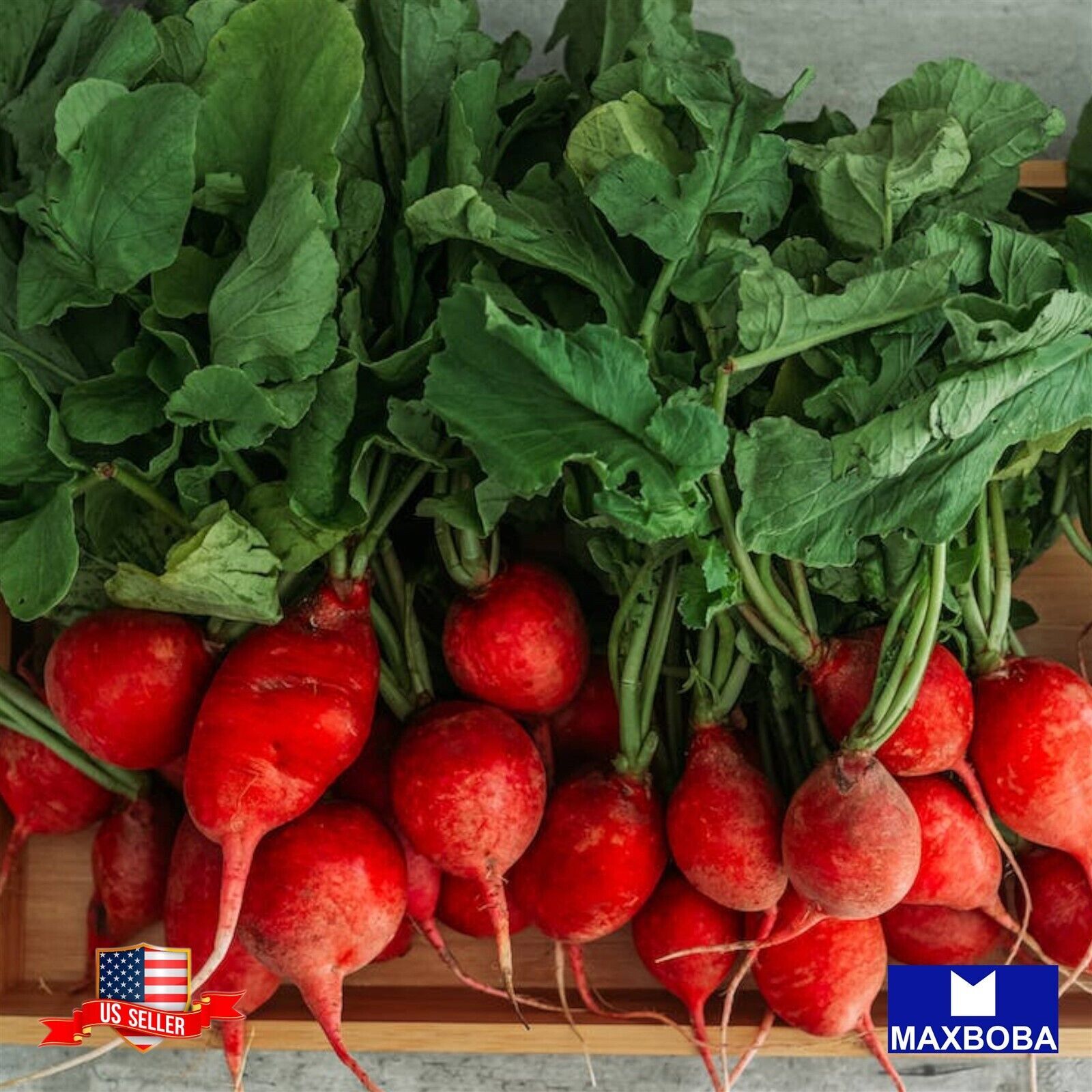 200 Radish Seeds – Crimson Giant Non-GMO Heirloom Vegetable BOGO 50% OFF