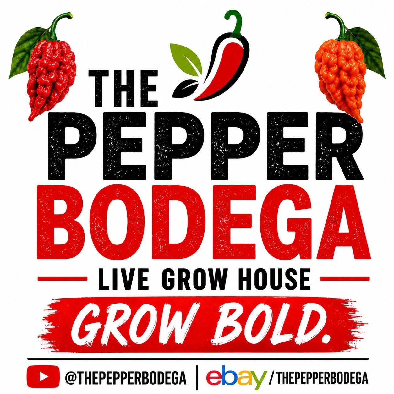 🌶️ Carolina Reaper Pepper Seeds (10) | OPEN POLLINATED | Superhot