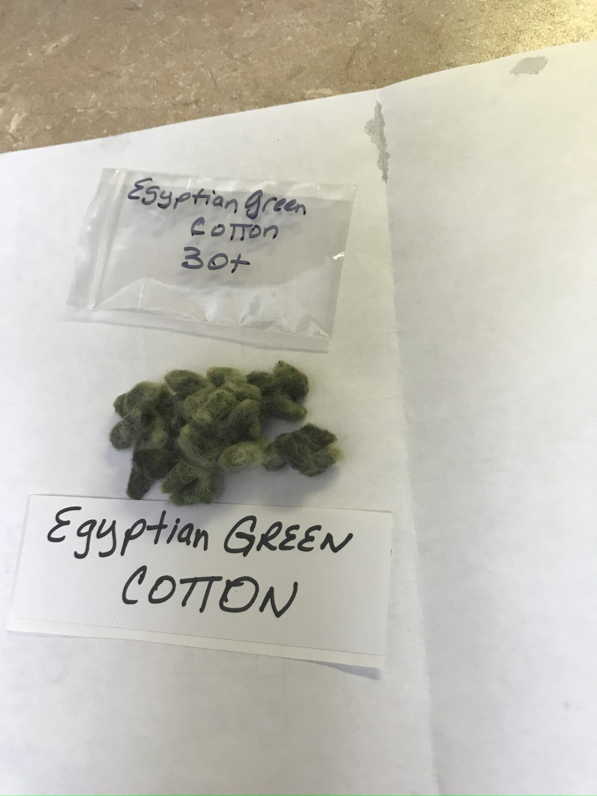 EGYPTIAN GREEN LINT Cotton Seed 30 Extremely Rare Heirloom Ornamental