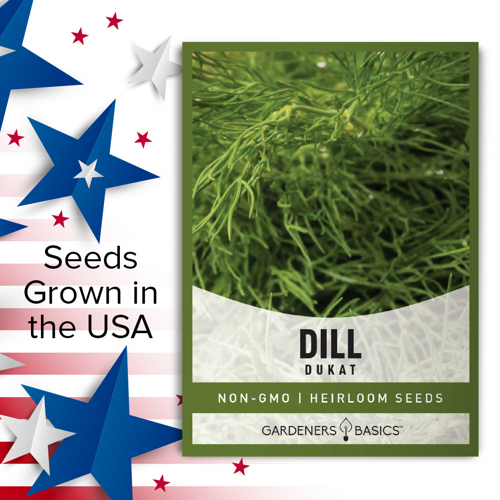 Dukat Dill Seeds