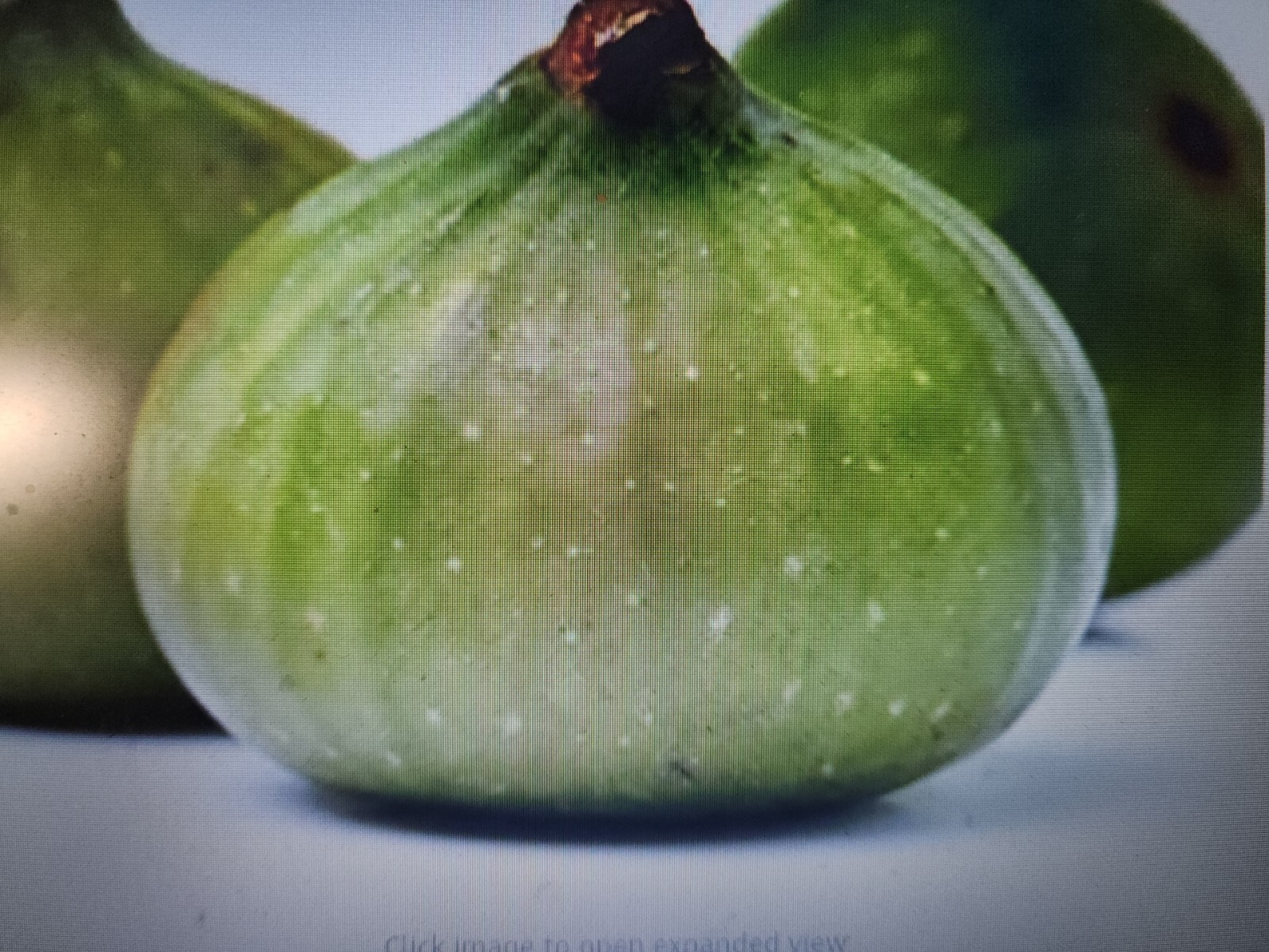Lattarula Honey Fig (Italian Honey) Fig Tree Seeds 200 Plus Seeds