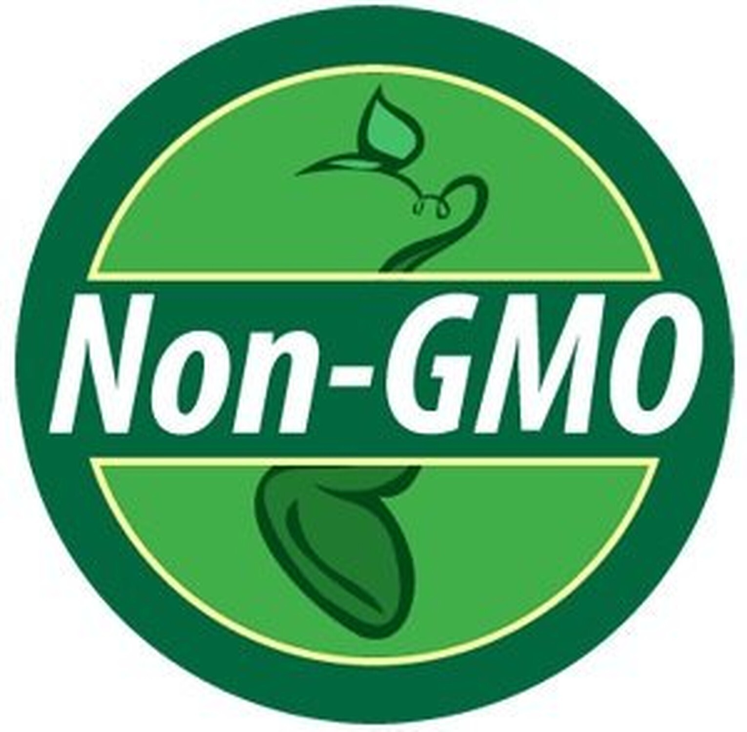Non GMO Bulk Southeast Wildflower Seed Mix 450,000 Seeds (1 Lb) 1 Lb
