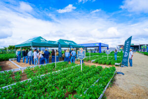 Elite Seeds participa do Dia de Campo In Campo Soja – Fitolab